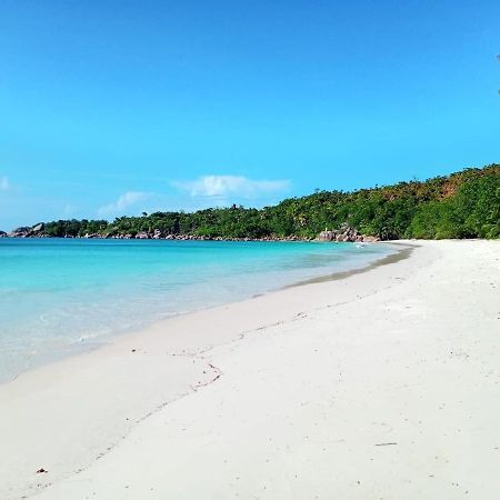 Le Chevalier Bay Guesthouse Anse Lazio Eksteriør bilde