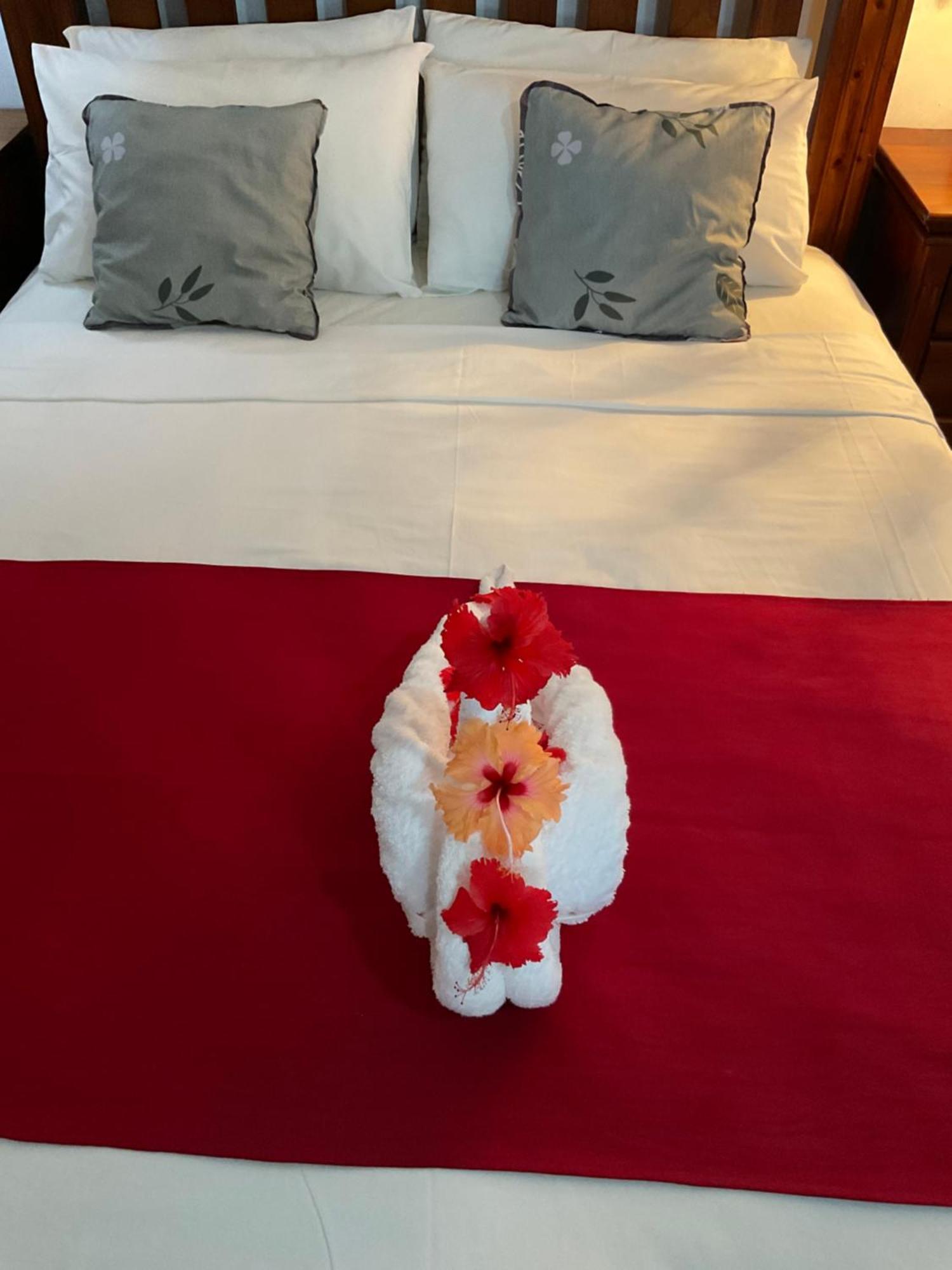 Le Chevalier Bay Guesthouse Anse Lazio Eksteriør bilde